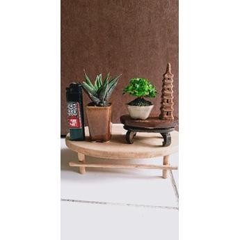 Bonsai mini,bonsai shito sancang + pot keramik