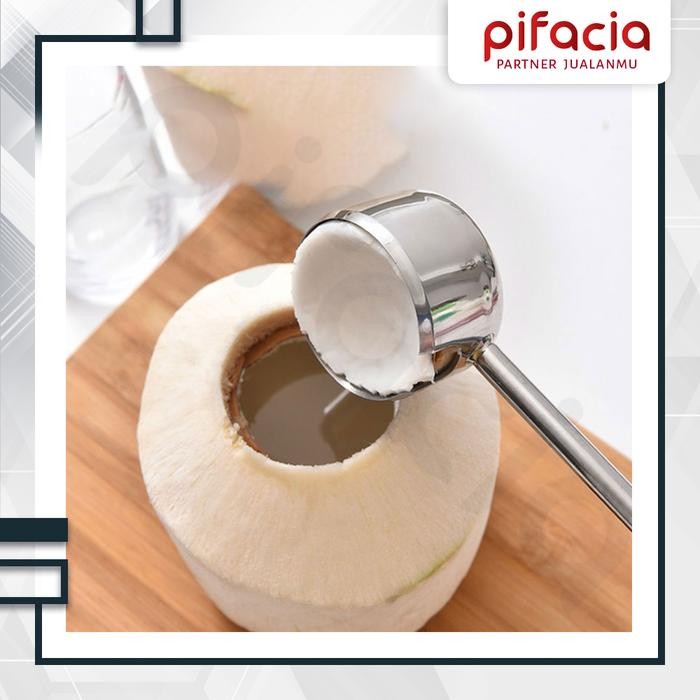 

AT Alat Pelubang Pembuka Pembolong Kelapa 3 In 1 Stainless Coconut Hammer
