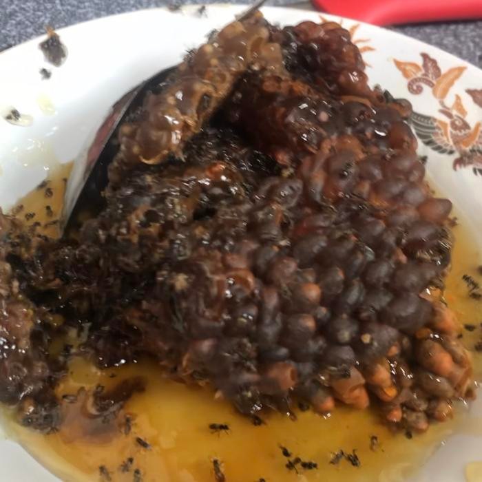 

Madu Klanceng Asli Murni Trigona 320Gram