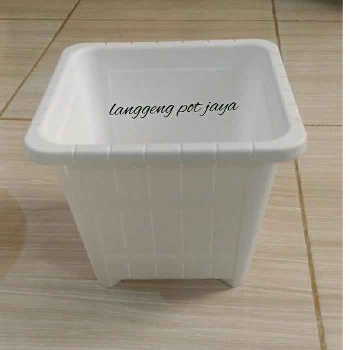 Pot Tanaman Plastik Kotak Lavenia Putih 25Cm