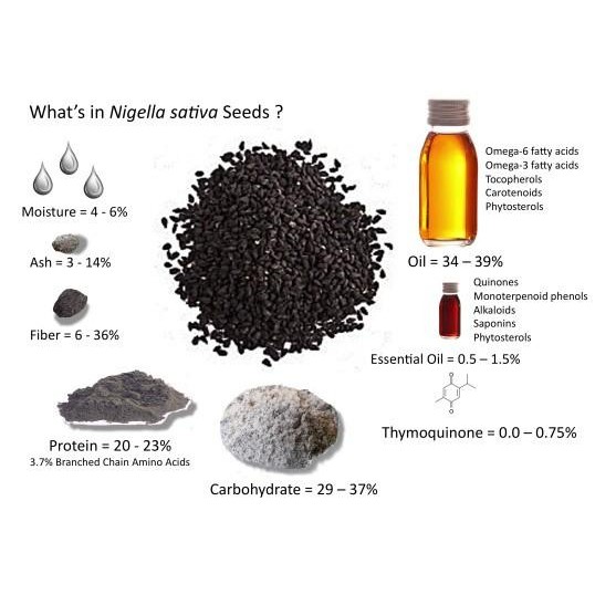 

(Expert) [500 gram] Biji Jinten Hitam / Habbatussauda Seeds IMPORT