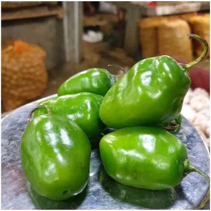

New cabe gendot cabe kompor segar berkualitas