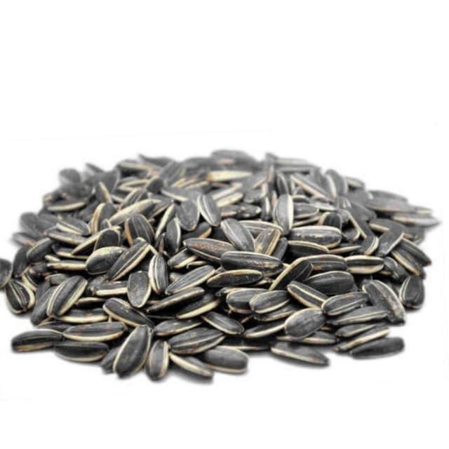 

New Kuaci Biji Bunga Matahari 500GRAM - Sunflower Seed -seperti kwaci rebo