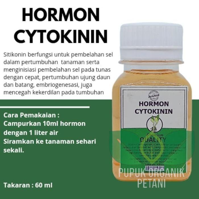 Hormon Sitokinin/Cytokinin Memicu Tumbuh Pucuk Tunas Baru Yang Bernutrisi Sinergi Dengan Hrmon
