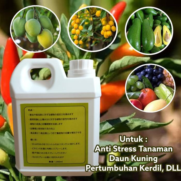 Pupuk Vit O Plant Nutrition Organik 1 Liter