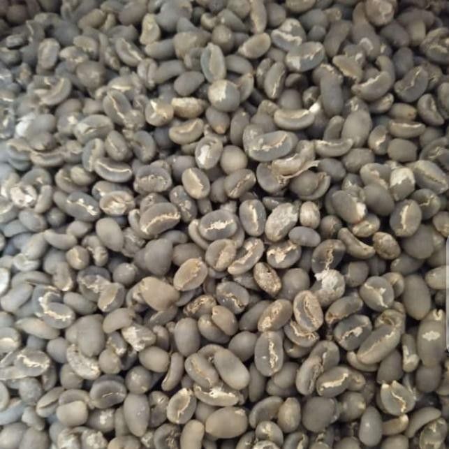 

Green Bean / Biji Kopi Arabika Toraja Pulu Pulu - Wethull #Gratisongkir #Sale #Discount