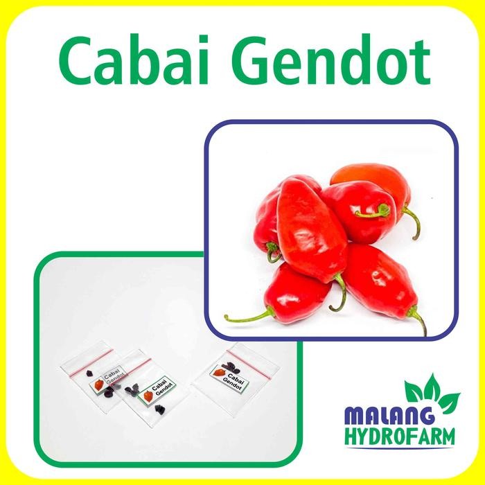 Tn Benih Cabai Gendot Unggulan Berkualitas Biji Bibit Repack Cabe Dieng Bendot Gendut Sambal Sambel