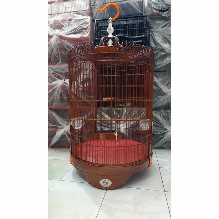 sangkar murai ebod jaya no 3 klasik