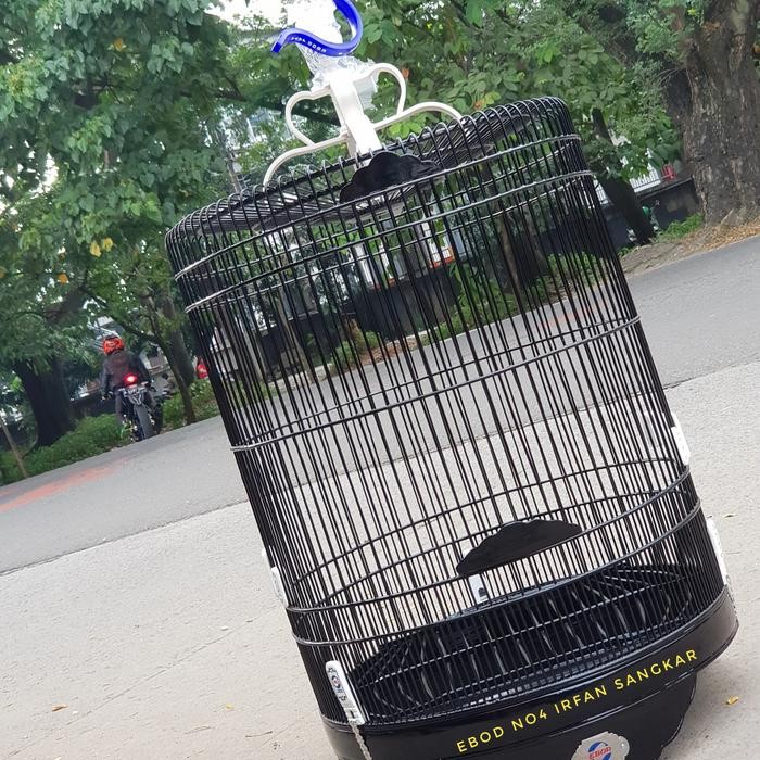 Ebod no4 kacer poksay ebod bulat kacer poksay jalak dll