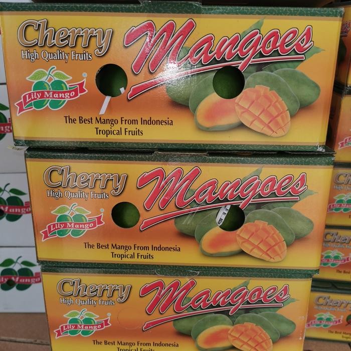 

Lily Mango Cherry / Mango Lily Cherry / Mangga Ga Cherry