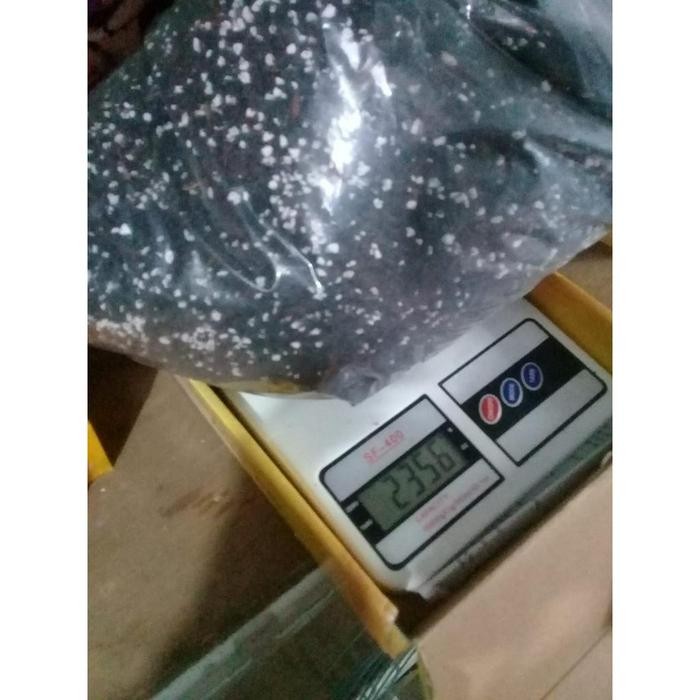 Media Tanam Kaktus Sekuler Sansivera Siap Pakai