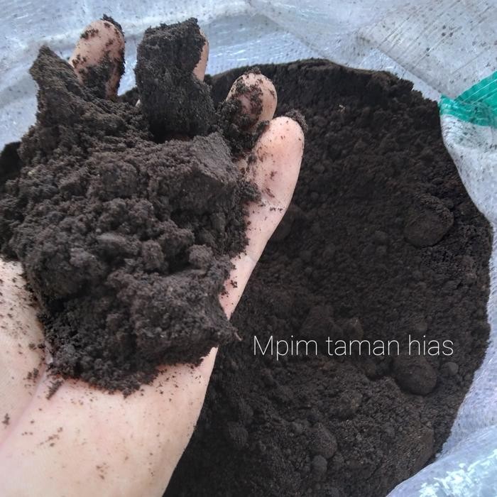 Tanah Lembang Super Karungan. (Media Tanam)