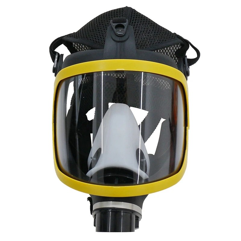 Gas mask acid/organic/ammonia full face mask Gas mask paint chemical pesticide laboratory dustproof
