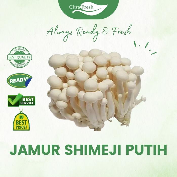 

New Jamur Shimeji Putih 1 pack Citra fresh
