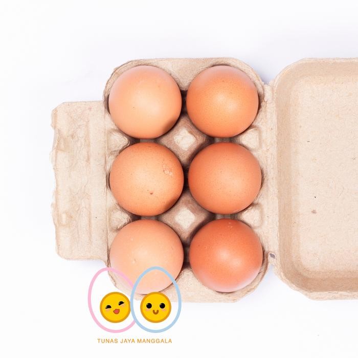 Paper egg / tray egg kertas 6 lubang sudah ada pengunci