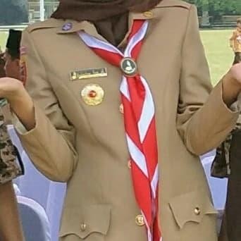 (Expert) baju pramuka wanita/baju pdu pramuka wanita