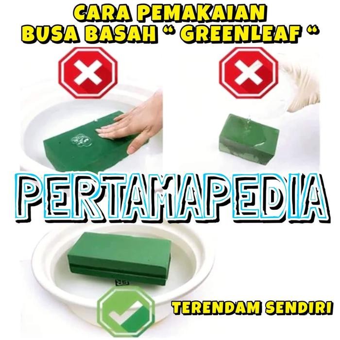 Busa Bunga Hidup Busa Basah/ Busa Bunga Busa Basah/Oasis Aquaria