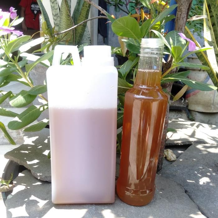 

NWFK Madu Baduy Asli 1Kg