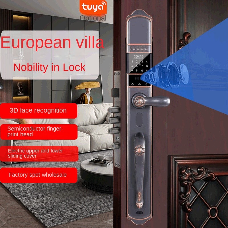 3D face recognition smart lock graffiti zigbee smart home European