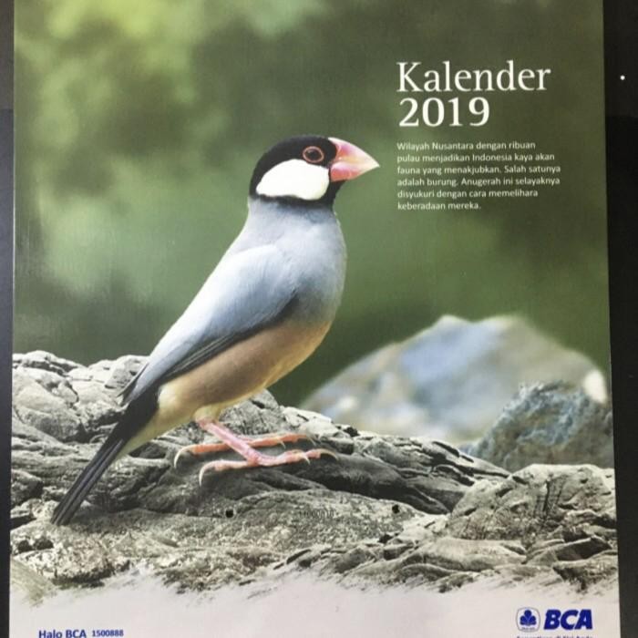 

Kalender Dinding Harian BANK BCA Exclusive Mewah Model Sobek / Robek