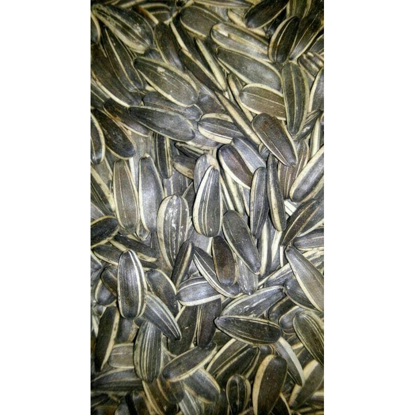 

IOI2 Kwaci Bunga Matahari 500 Gram Merk Panpan