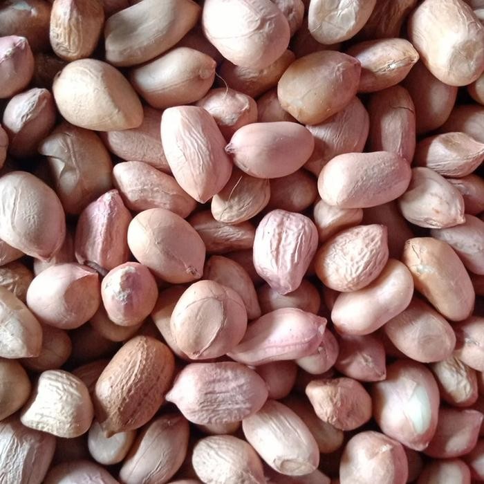 

KACANG TANAH KUPAS 1KG