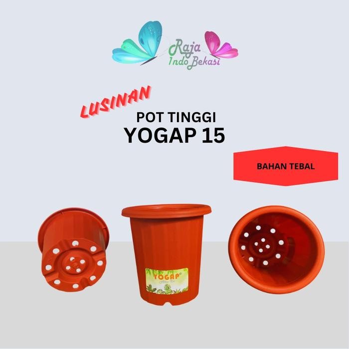 Mode Vintage Raja Indo Lusinan Pot Yogap 15 Isi 12 Pcs Pot Yogap 15 Putih Transparan Merah Bata Pot
