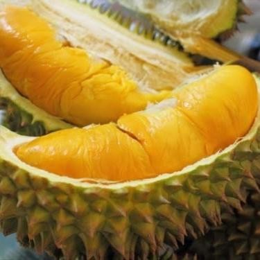 BOOSTER DURIAN PUPUK BOSTER DURIAN CEPAT BERBUAH