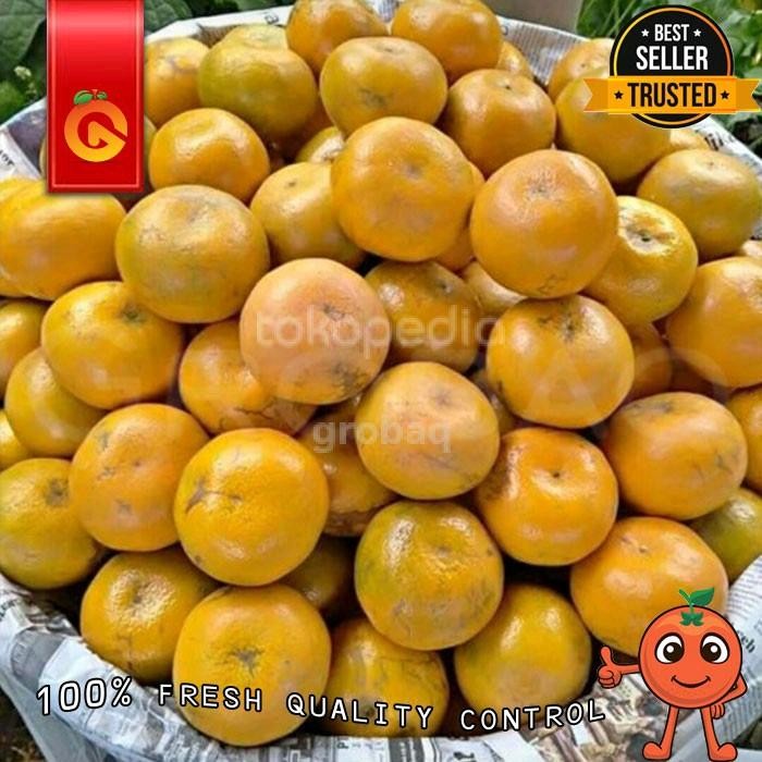

ASLI BUAH JERUK MEDAN MANIS SUPER 1 KG READY STOCK