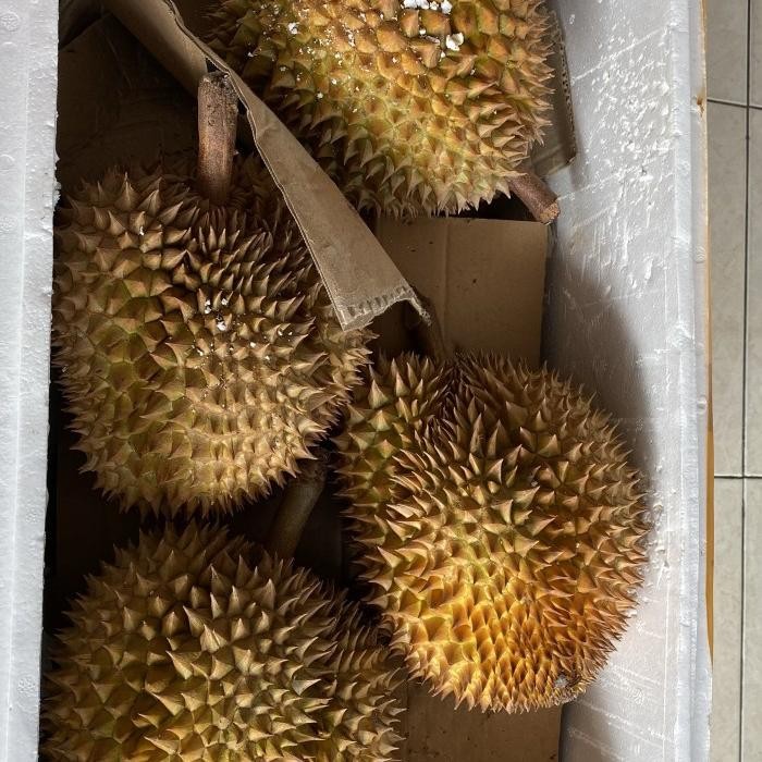 

ASLI DURIAN MONTONG PALU UTUH READY STOCK