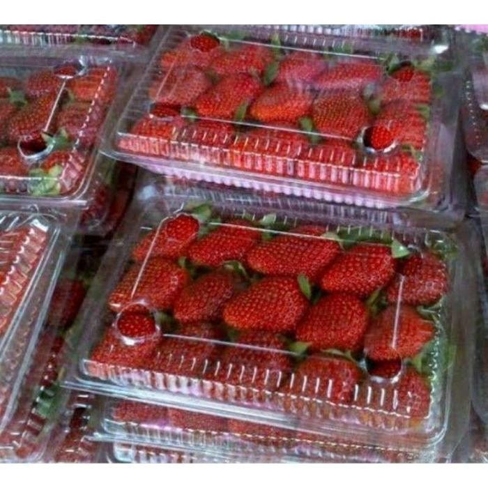 

DISKON Buah Strawberry Lokal READY STOCK