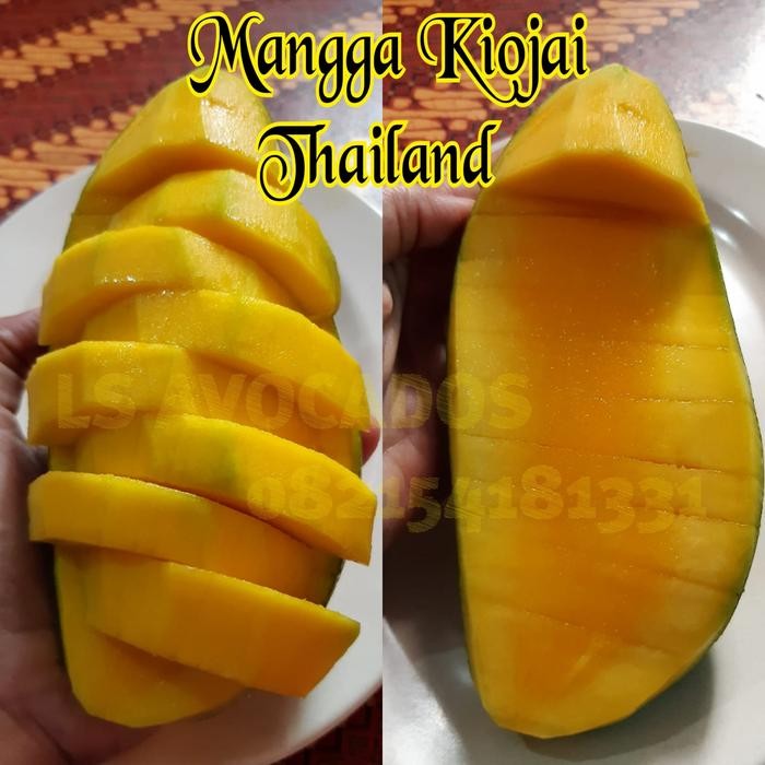 

ASLI Mangga Kiojai Thai READY STOCK