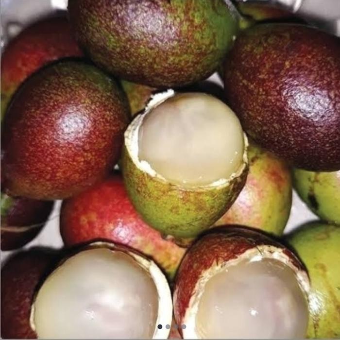 

ASLI Matoa READY STOCK