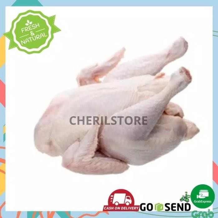 

(Allthebest) AYAM SOTOAN FRESH