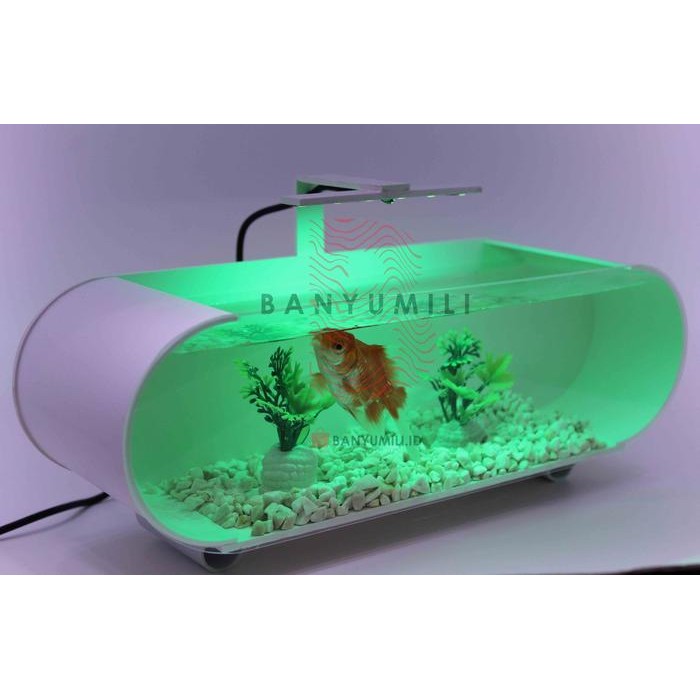 Aquarium Mini Akrilik,Mini Aquarium Akrilik,Aquarium Pipa -Gratisongkir