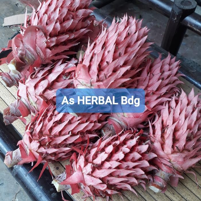 

ASLI Nanas Merah ASLI Muda Segar 1 Kg petik langsung-az READY STOCK