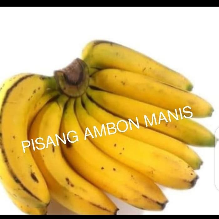 

SIAPKIRIM BUAH PISANG AMBON FRESH MANIS PER 1 SISIR Makanan READY STOCK