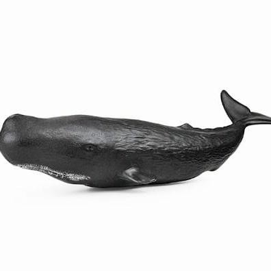 MAINAN EDUKASI NEW CANNA IKAN PAUS SPERMA SPERM WHALE ANIMAL TOYS