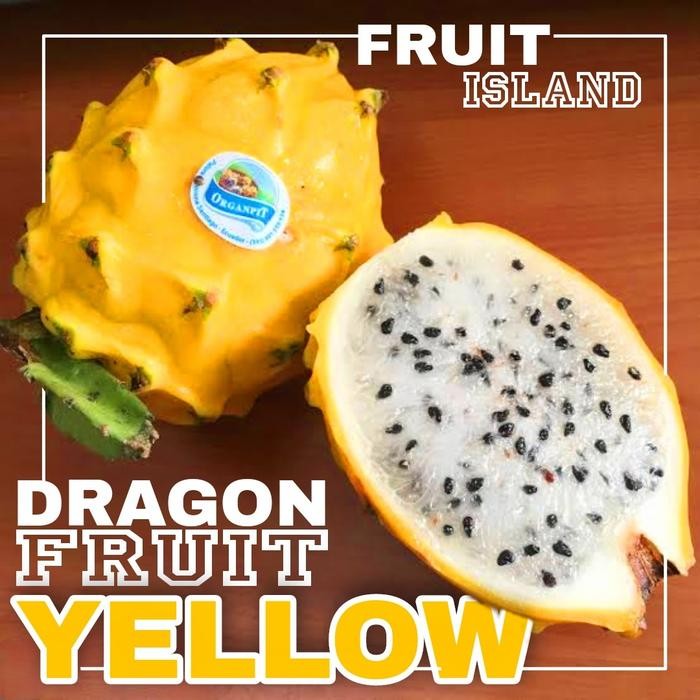 

DISKON Buah Naga kuning / Dragon fruit yellow premium super manis READY STOCK