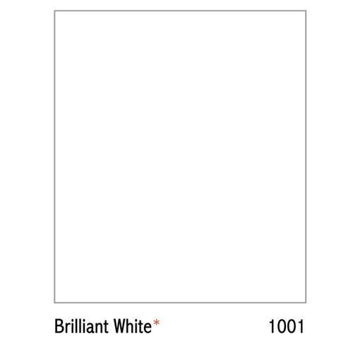 VINILEX PUTIH 300 VINILEX KEMBANG 25 KG