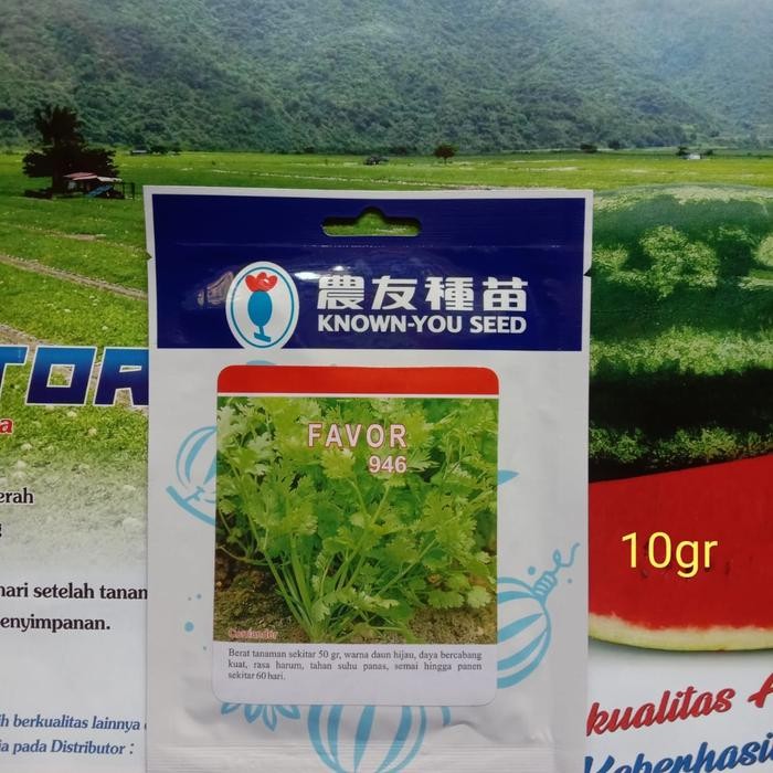 Benih Bibit Daun Ketumbar Coriander Favour 10Gr Original Known You Seed