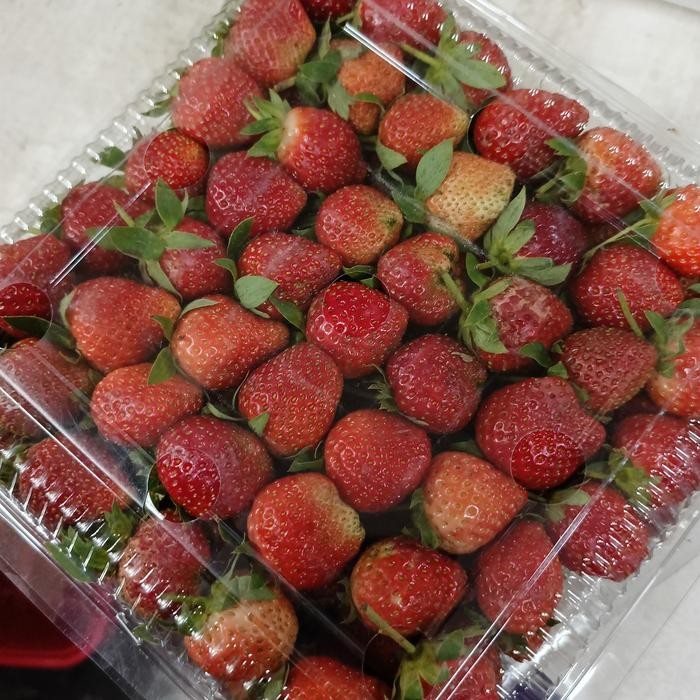 

DISKON Strawberry Fresh 850gr READY STOCK