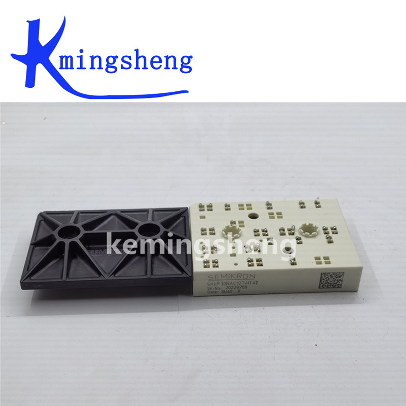 freshflowerss33 SKiiP30NAC12T4IT42 SKiiP30NAC12T42 SKiiP30NAC12IT42 SKiiP30NAC12IT1 SKiiP30NAC12T2 F