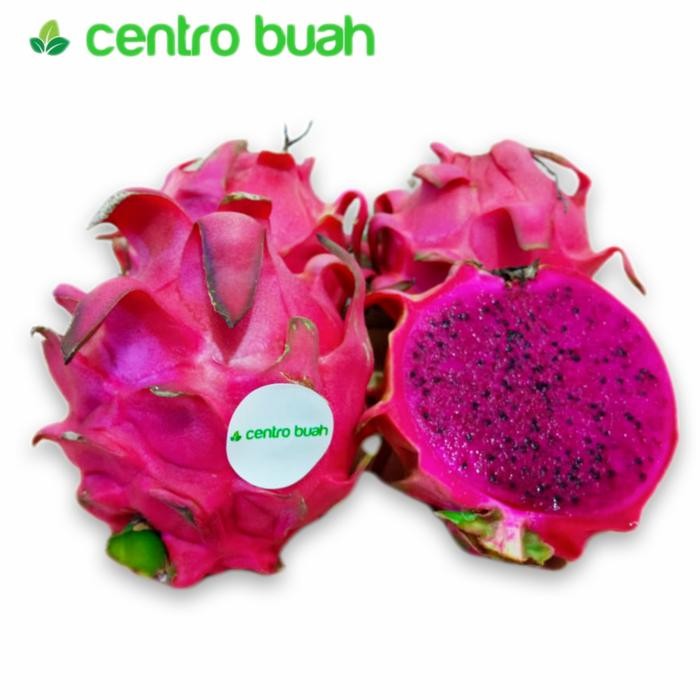 

TERLARIS Buah Naga Merah Segar per Kg READY STOCK