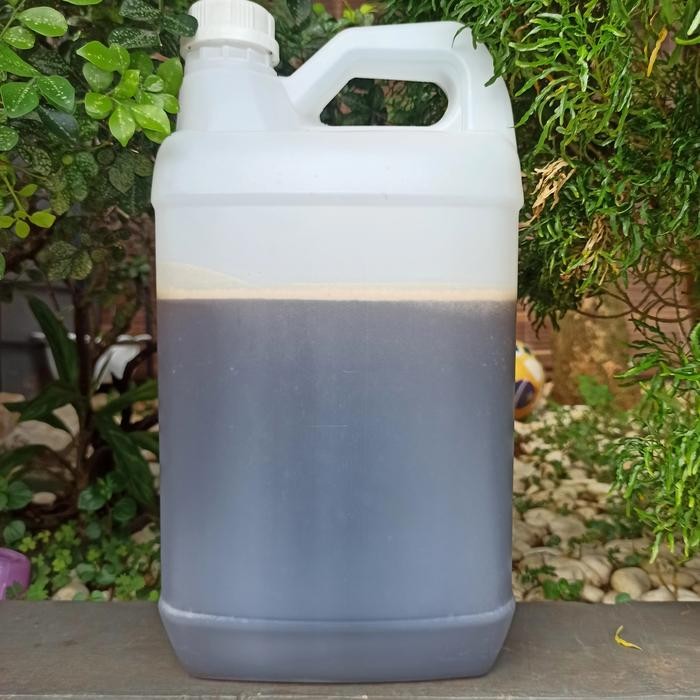 

Madu Hutan Asli Murni Raw Honey 5000 Gram