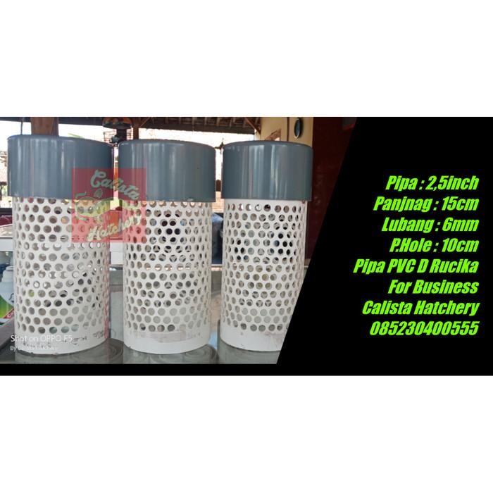 (Allthebest) Pipa Kolam Saringan Kolam Paralon 2,5Inch Panjang 15cm Bor 6mm + Tutup