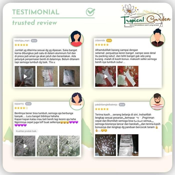 (Allthebest) Tropical Garden 25 Macam Benih Paket Sayuran Hybrida F1 Bibit Sayuran Lengkap Isi