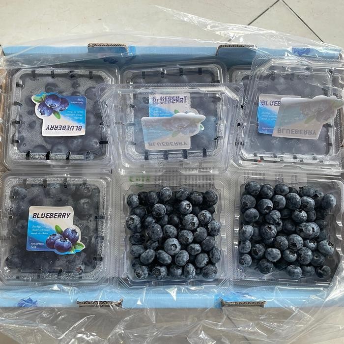 

DISKON Blueberry Fresh Import (PACK) READY STOCK