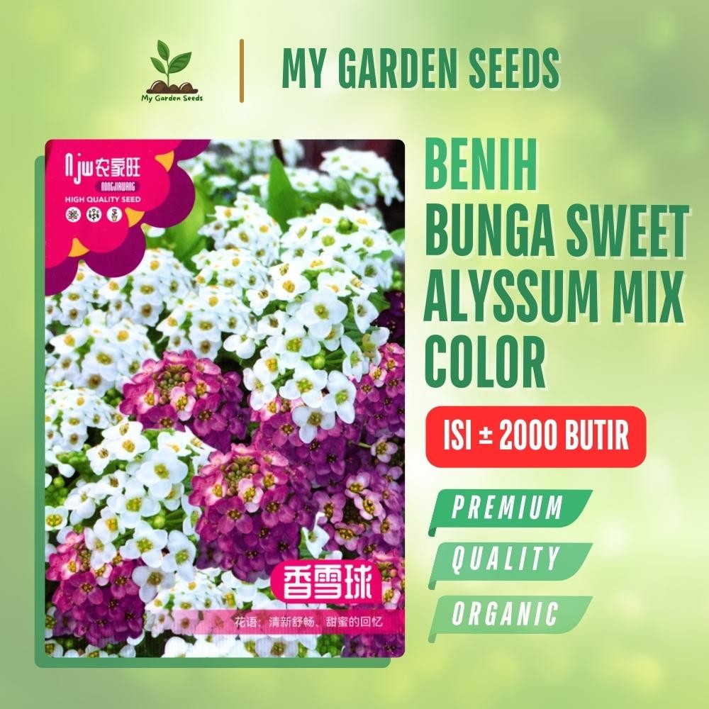 BENIH BUNGA SWEET ALYSSUM MIX COLOR KEMASAN IMPORT ± 2000 BUTIR