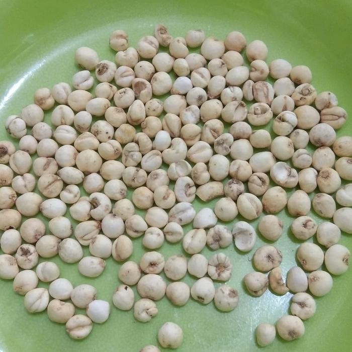 

READY CHUAN BEI MU / BULBUS FRITILLARIAE CIRRHOSA 37 GR - HERBAL TRADISIONAL CHINA